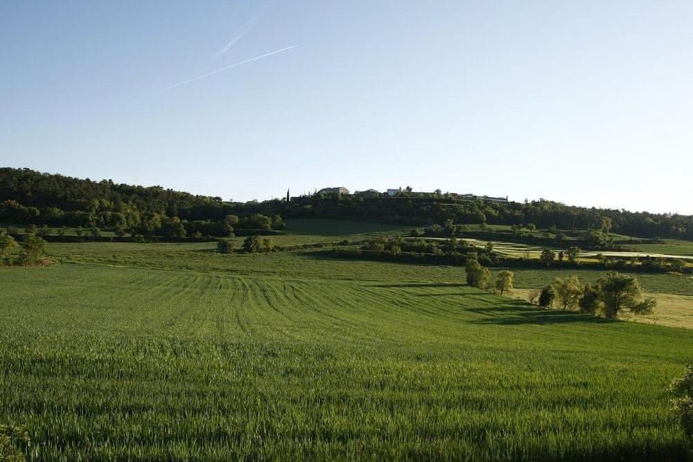 Masia Cal Millas - Turisme Rural Castellfullit de Riubregos Bagian luar foto