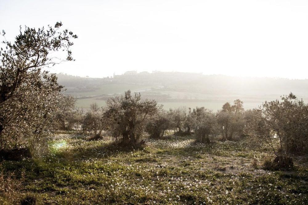 Masia Cal Millas - Turisme Rural Castellfullit de Riubregos Bagian luar foto