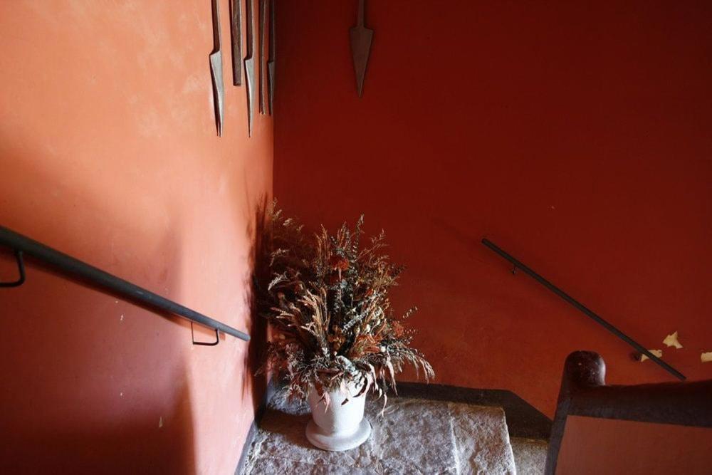 Masia Cal Millas - Turisme Rural Castellfullit de Riubregos Bagian luar foto